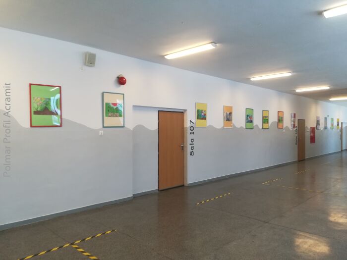Sichere Schulen und Kindergärten: Wie lassen sich Flure in Bildungseinrichtungen mit den Schutzsystemen von Polmar Profil wirksam schützen?